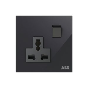 AM29486-xx