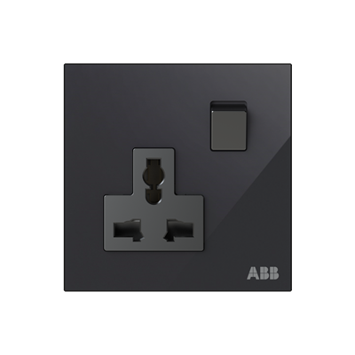 AM29486-xx