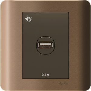 SCHNEIDER E8431USB_SZ-ZENcelo - 1 x 2.1A USB Charger - Silver Bronze