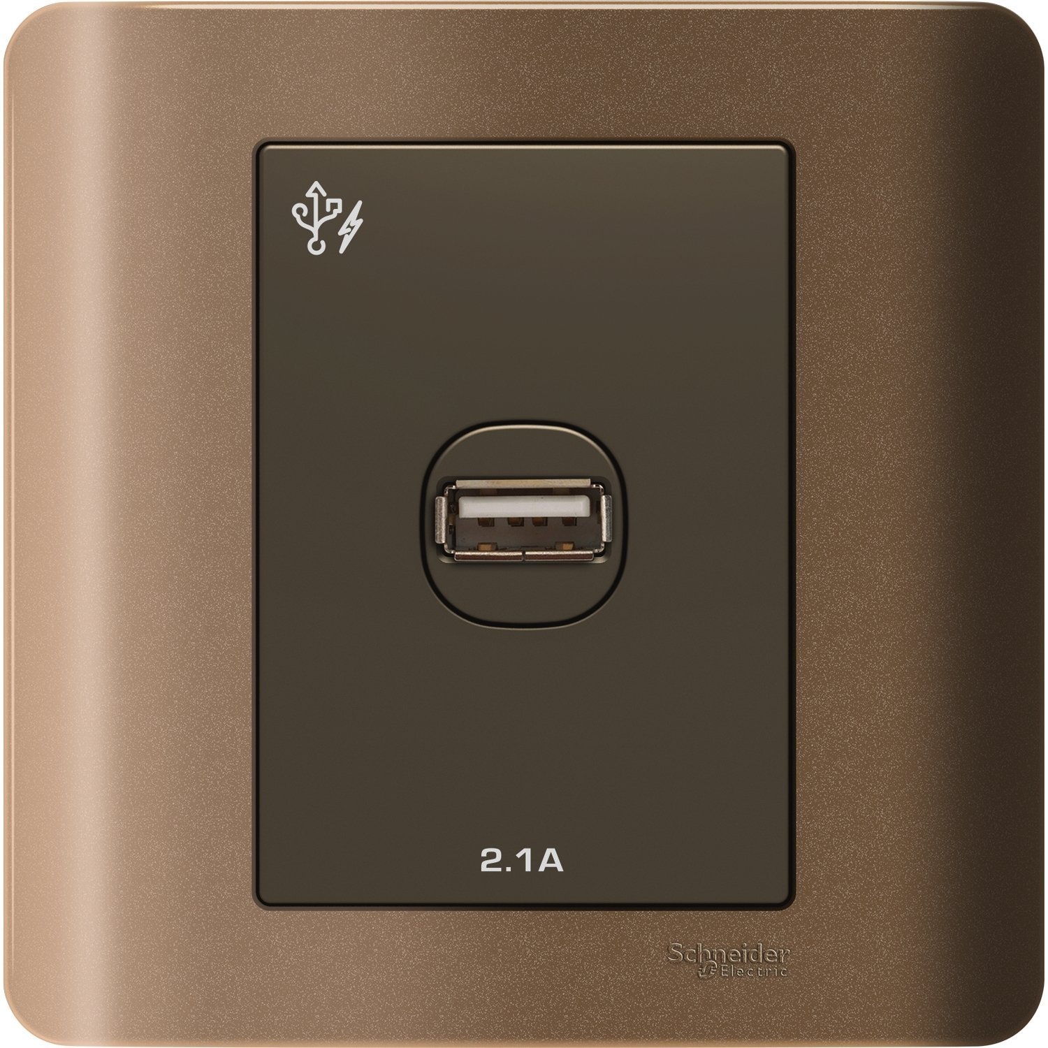SCHNEIDER E8431USB_SZ-ZENcelo - 1 x 2.1A USB Charger - Silver Bronze