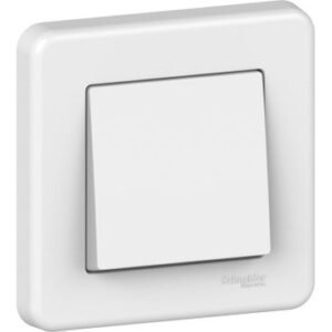 SCHNEIDER LNA0400321-Leona 1pole 2way switch 10AX lift terminals - white